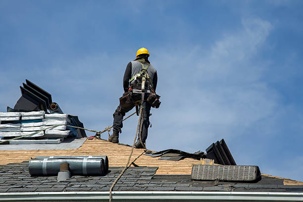 Professional Gutter Installation technician working in Winter Garden, FL